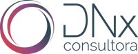 DNX Consultora